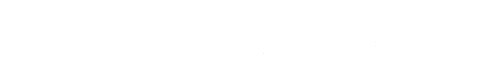 Max Data Forge